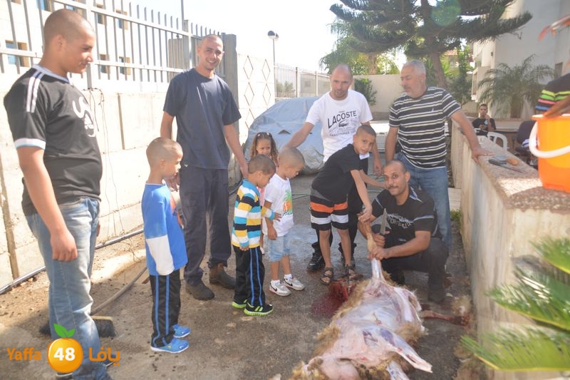dabe7 lud kharoof 116 (82).JPG